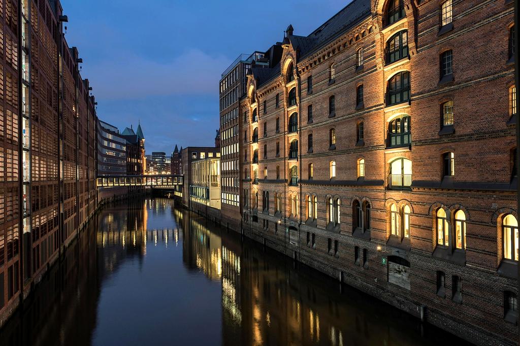 AI assistant dashboard showing personalized entryway organization recommendations and analytics