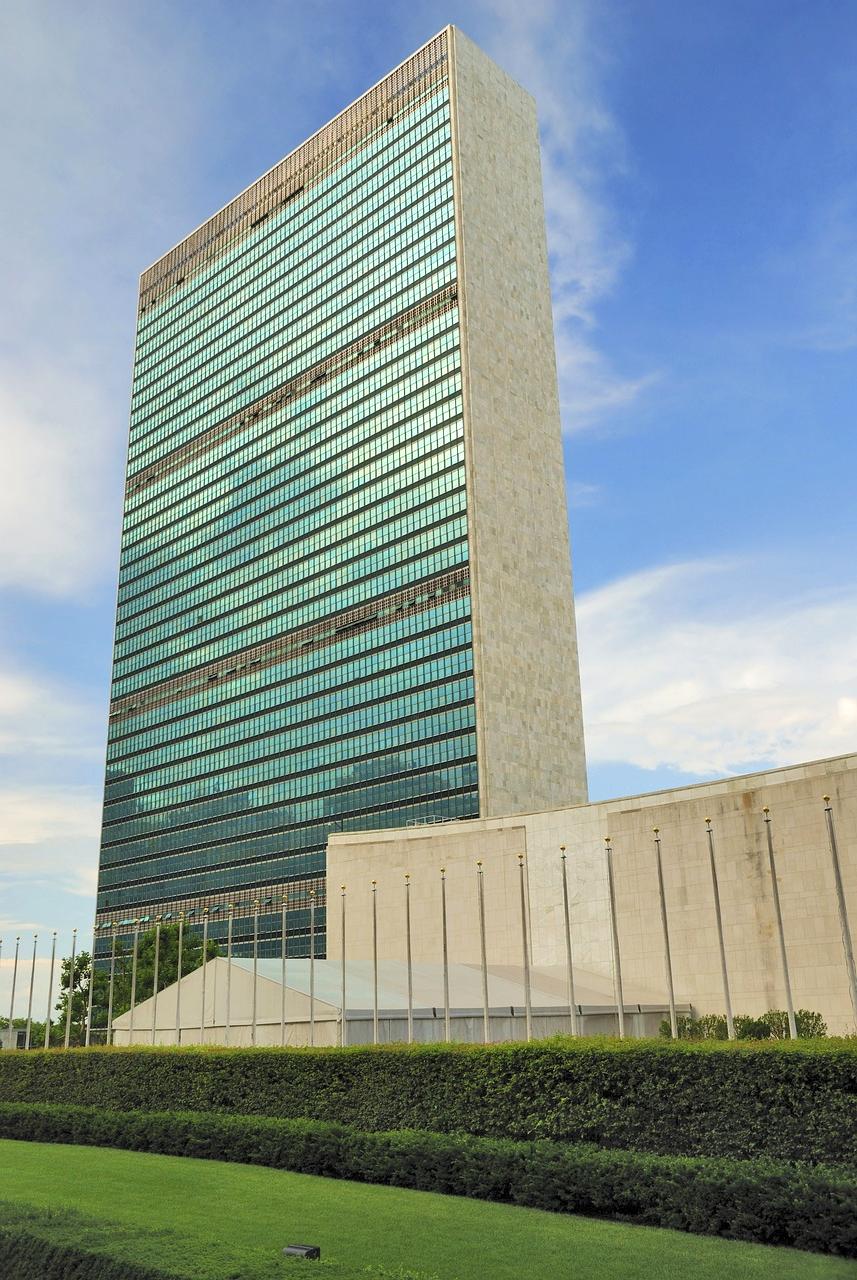 Team collaborating on entryway organization solutions