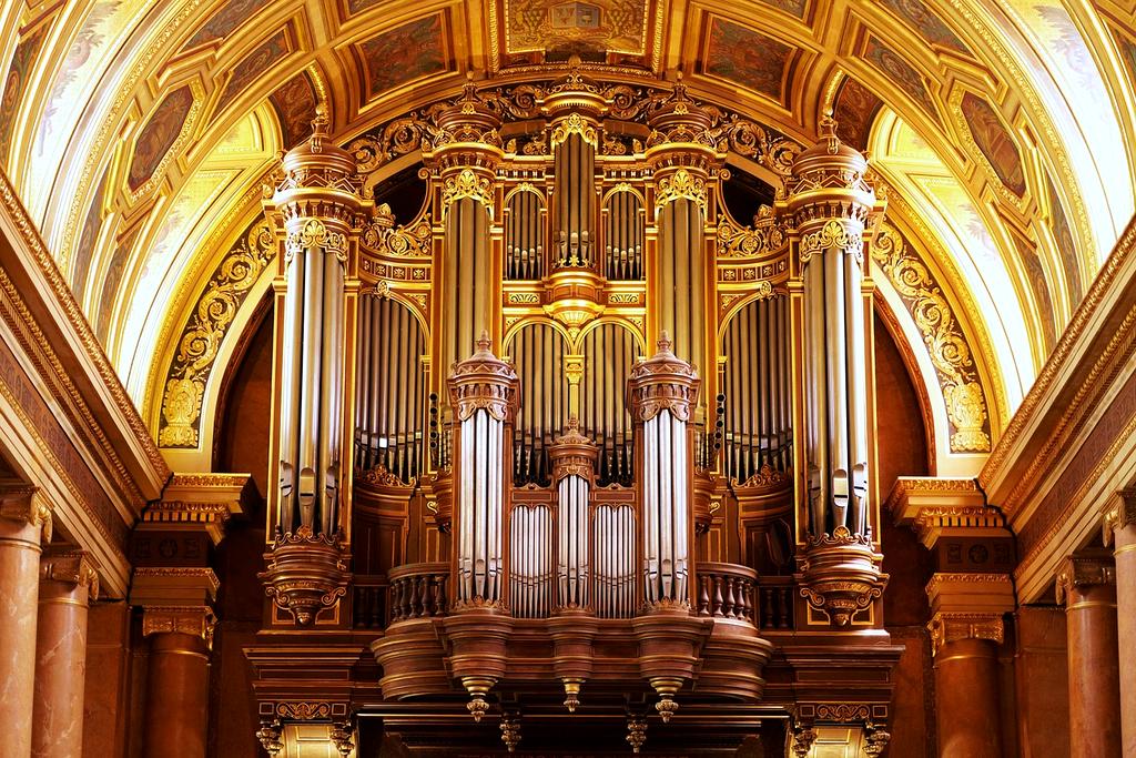Compact wall-mounted shoe shelves maintaining order in entryway